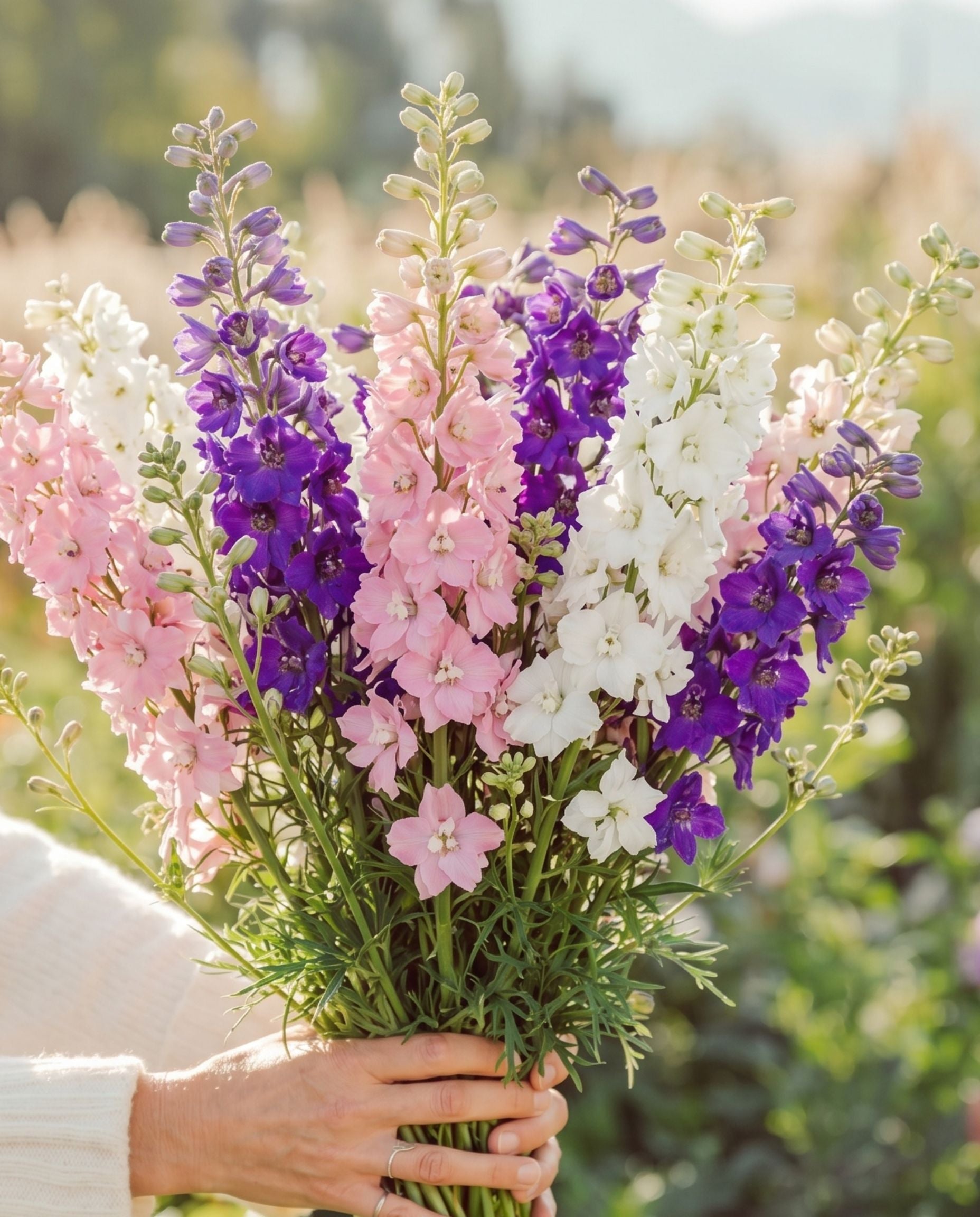 Larkspur 'Imperial Rocket' Seeds