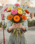 Golden Hour Zinnia Blend