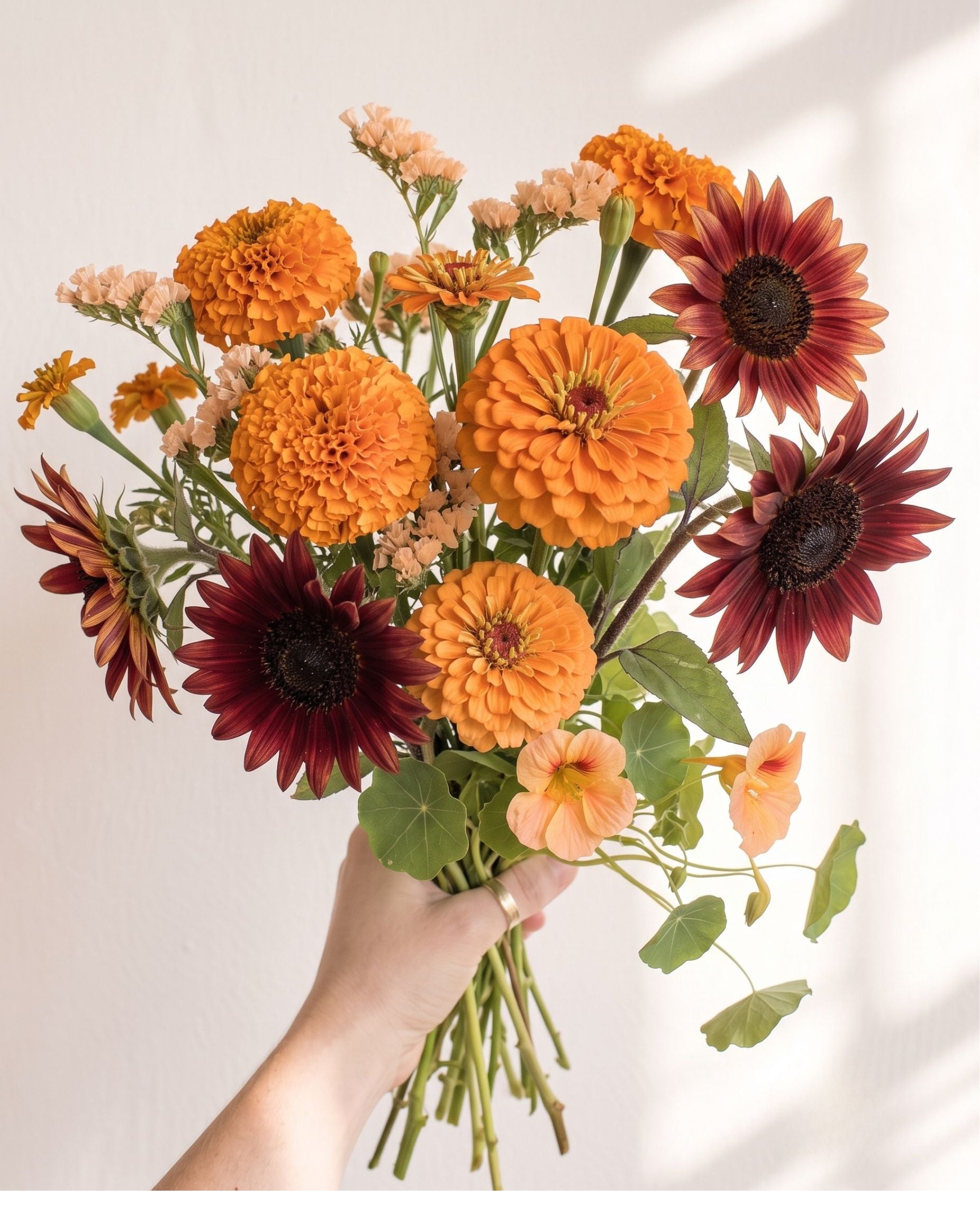Golden Hour Wander Mix — Warm Sunset Cutting Garden Seed Blend