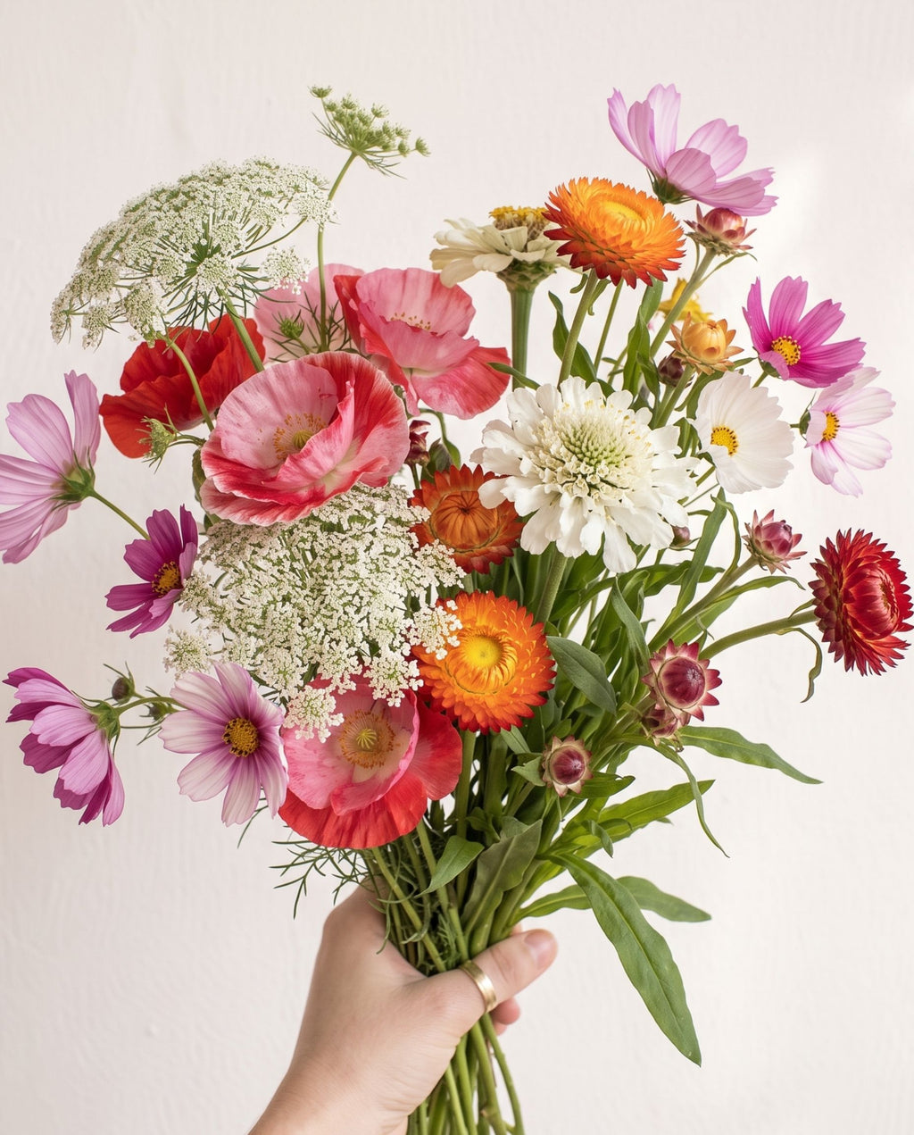 Her Cottage Era Mix - Romantic Cottage Cutting Garden Seed Blend