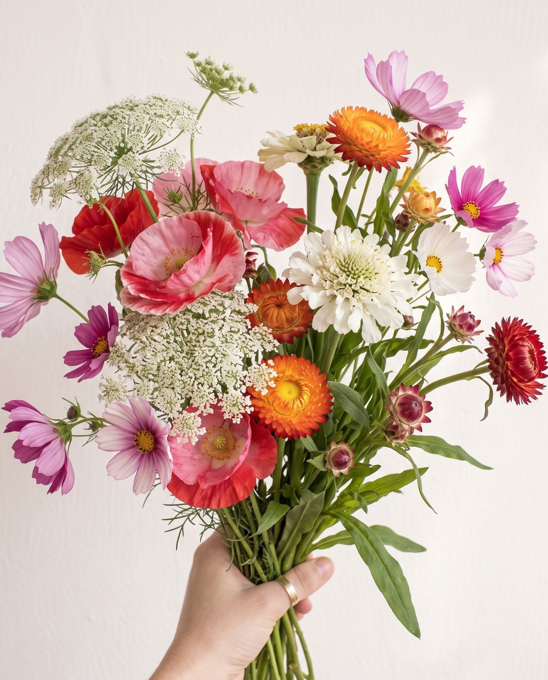 Her Cottage Era Mix - Romantic Cottage Cutting Garden Seed Blend