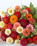 Sun-Drenched Zinnia Mix — Gold, Orange & Coral Zinnia Seed Blend