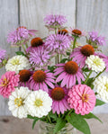 Butterfly Effect Bloom Mix Native Perennial + Zinnia Pollinator Blend