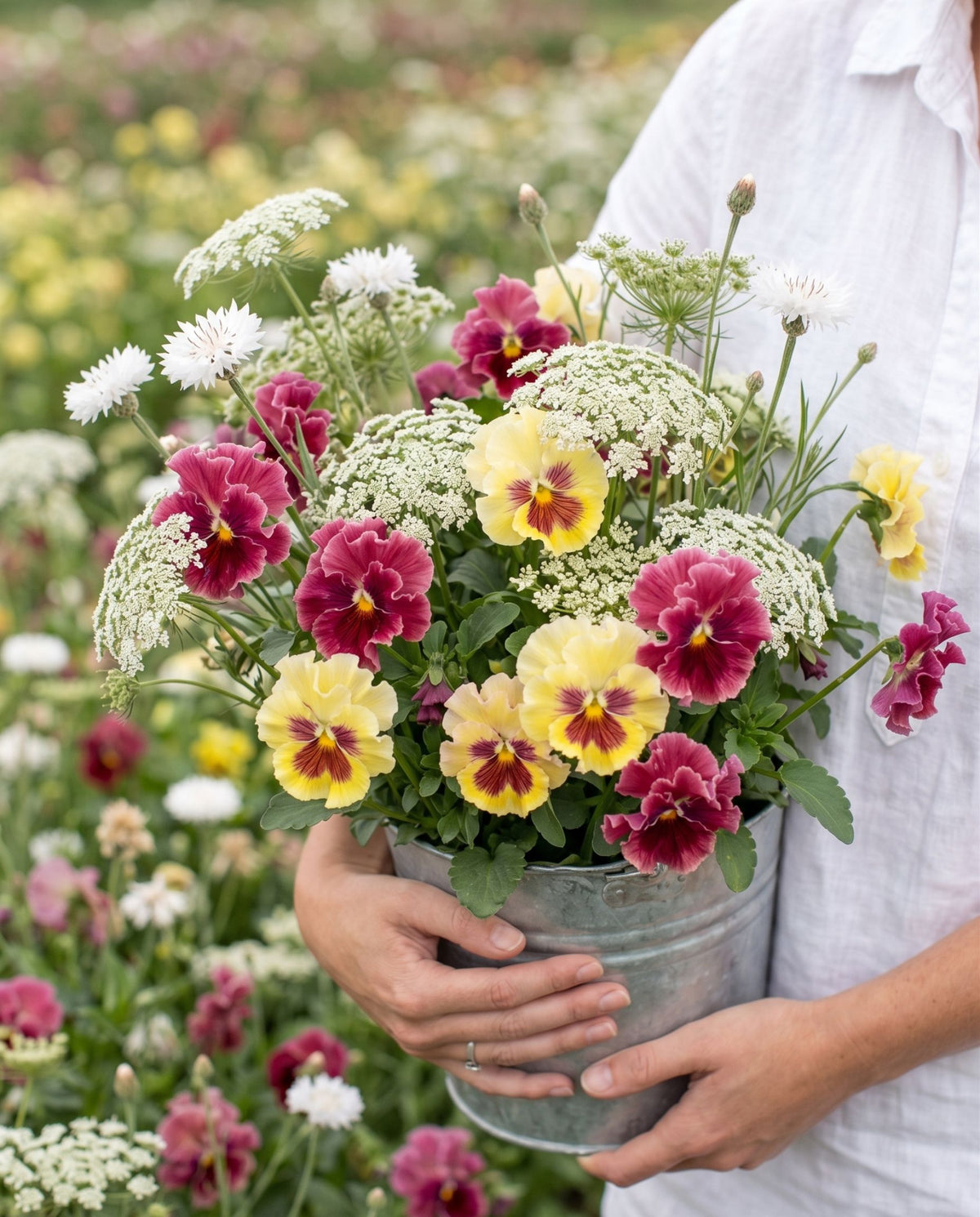 Sweater Weather Sowing | Fall-Planted Cottage Flower Seed Blend