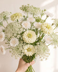 Moonchild Garden Seed Mix - All-White Moon Garden Blend