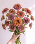 Rudbeckia 'Caramel Mix' Seed