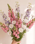 Soft Girl Spring Mix Fall-Planted Soft Pastel Blend | Snapdragon, Bachelor's Button & Larkspur | Spring Cutting Garden