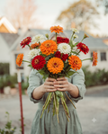 Campfire Glow Zinnia Mix