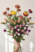 Forever Bloom Dried Flower Mix | Garden Seed Kit | Cut Flower Seed Blend | Beginner Flower Garden
