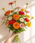 Confetti Bloom Zinnia Seed Mix, Cut Flower Garden, Beginner Flower Seeds